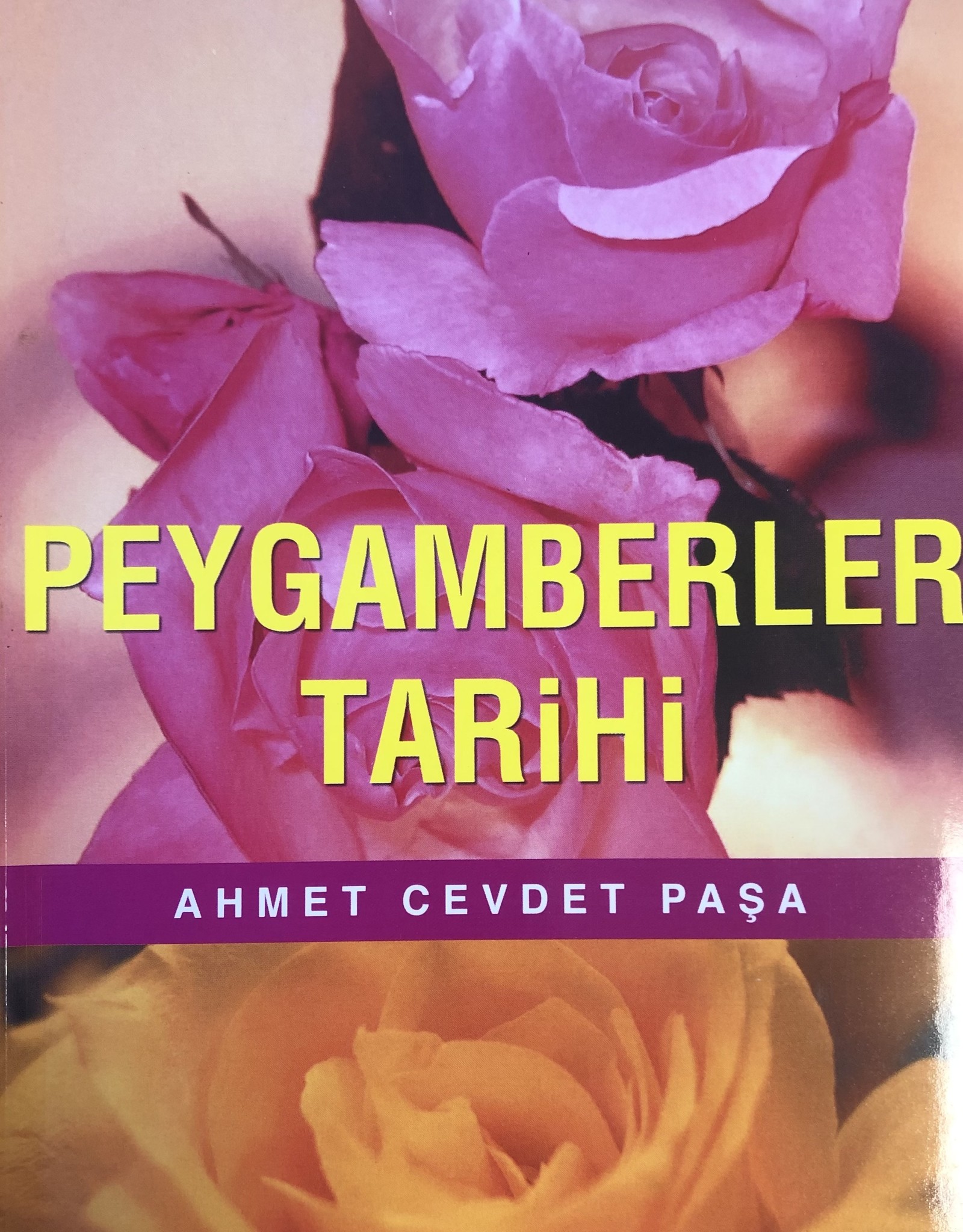 Peygamberler Tarihi