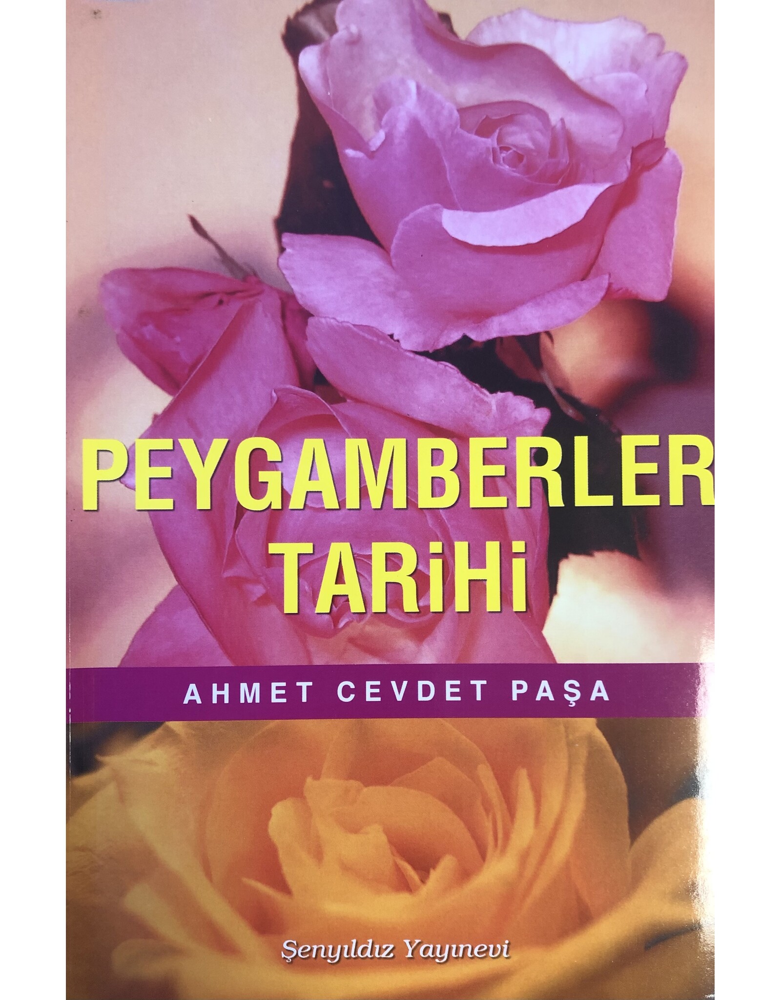 Peygamberler Tarihi