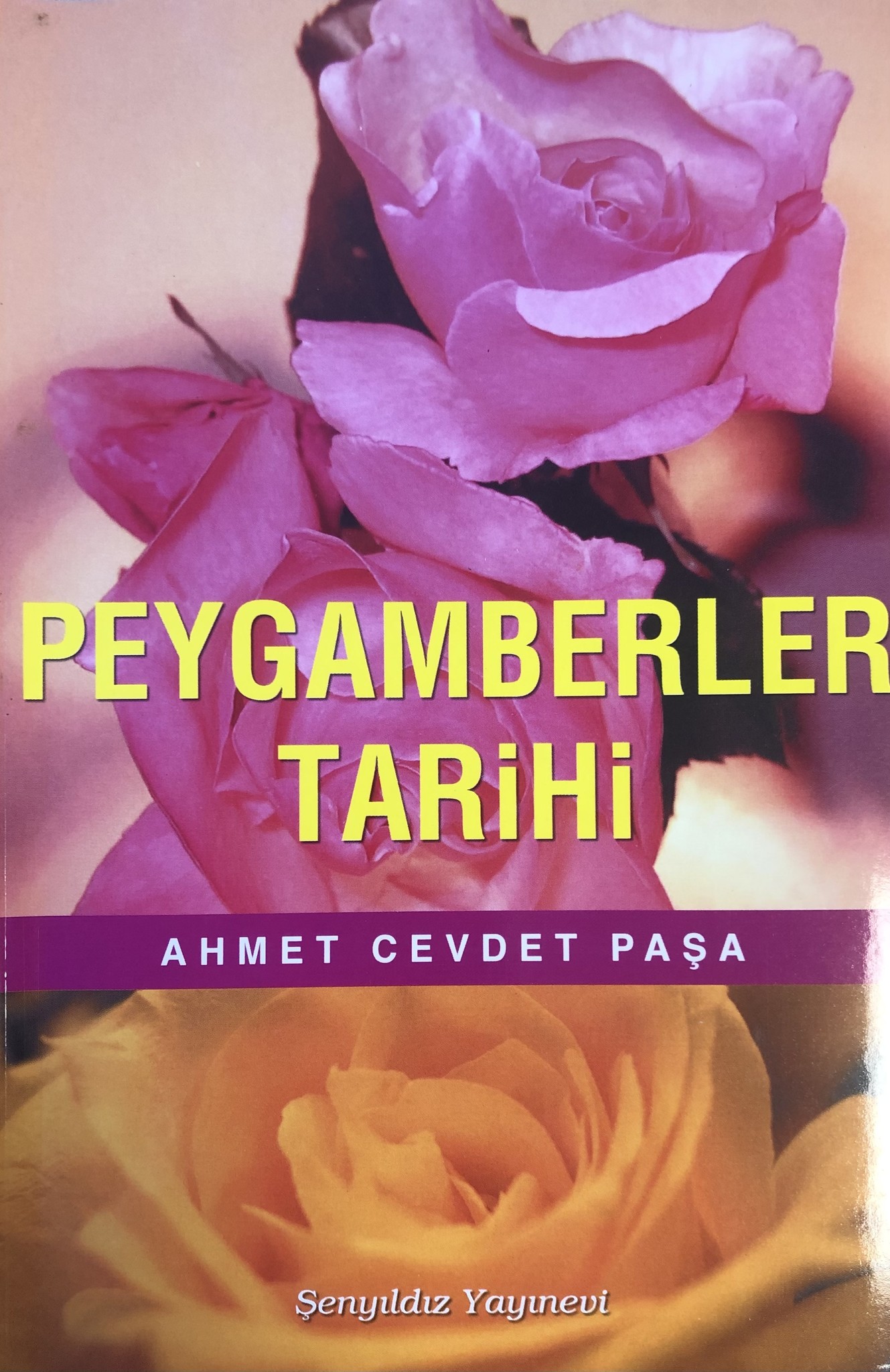Peygamberler Tarihi