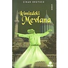İçimizdeki Mevlana