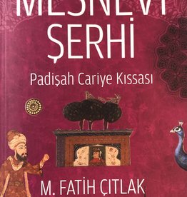 Mesnevi Şerhi