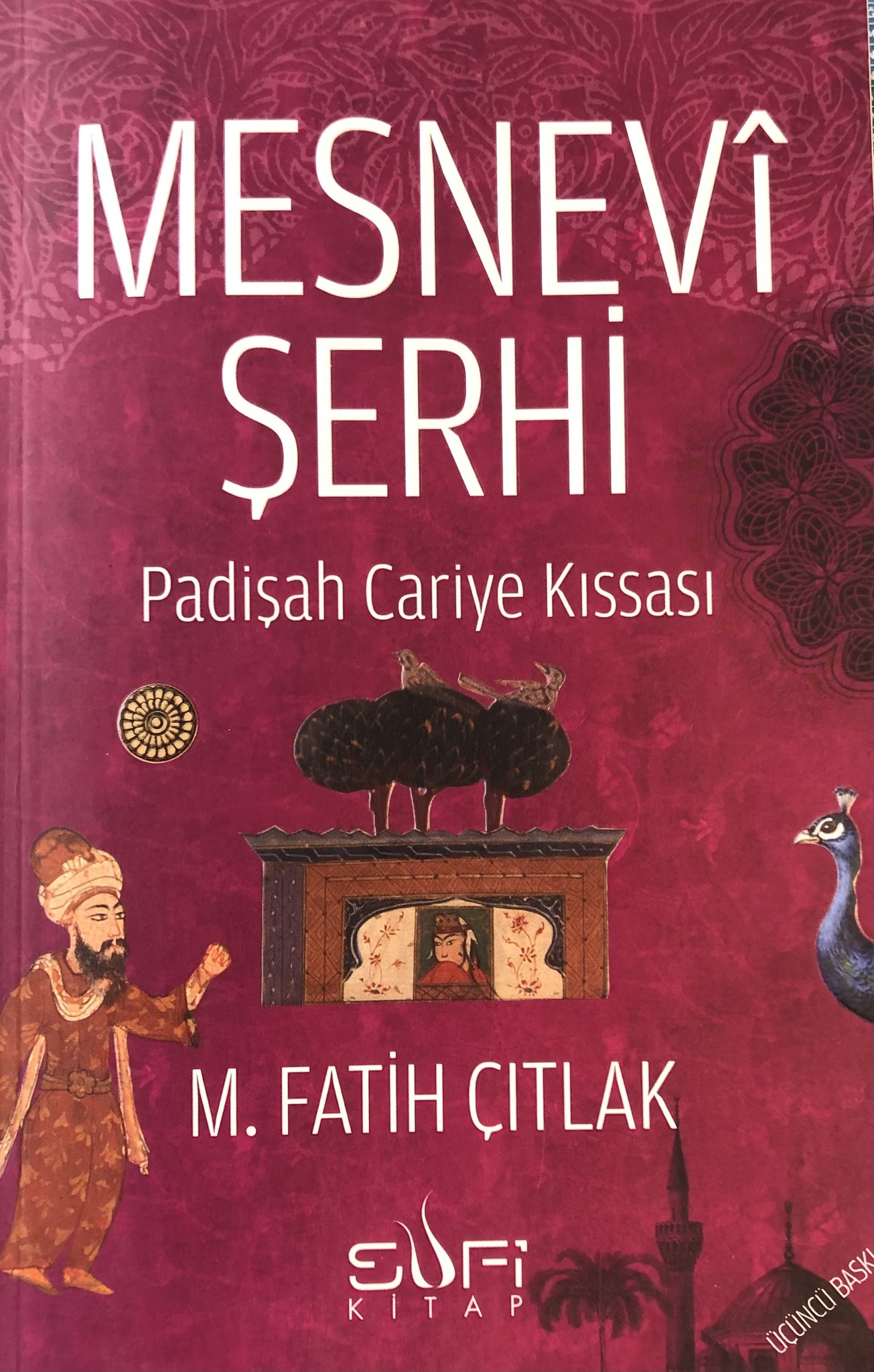 M. Fatih Çıtlak Mesnevi Şerhi