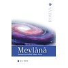 Mevlana Samanyolundaki islam Atlisi