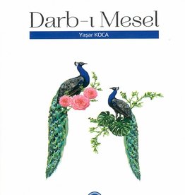 Darb-i Mesel