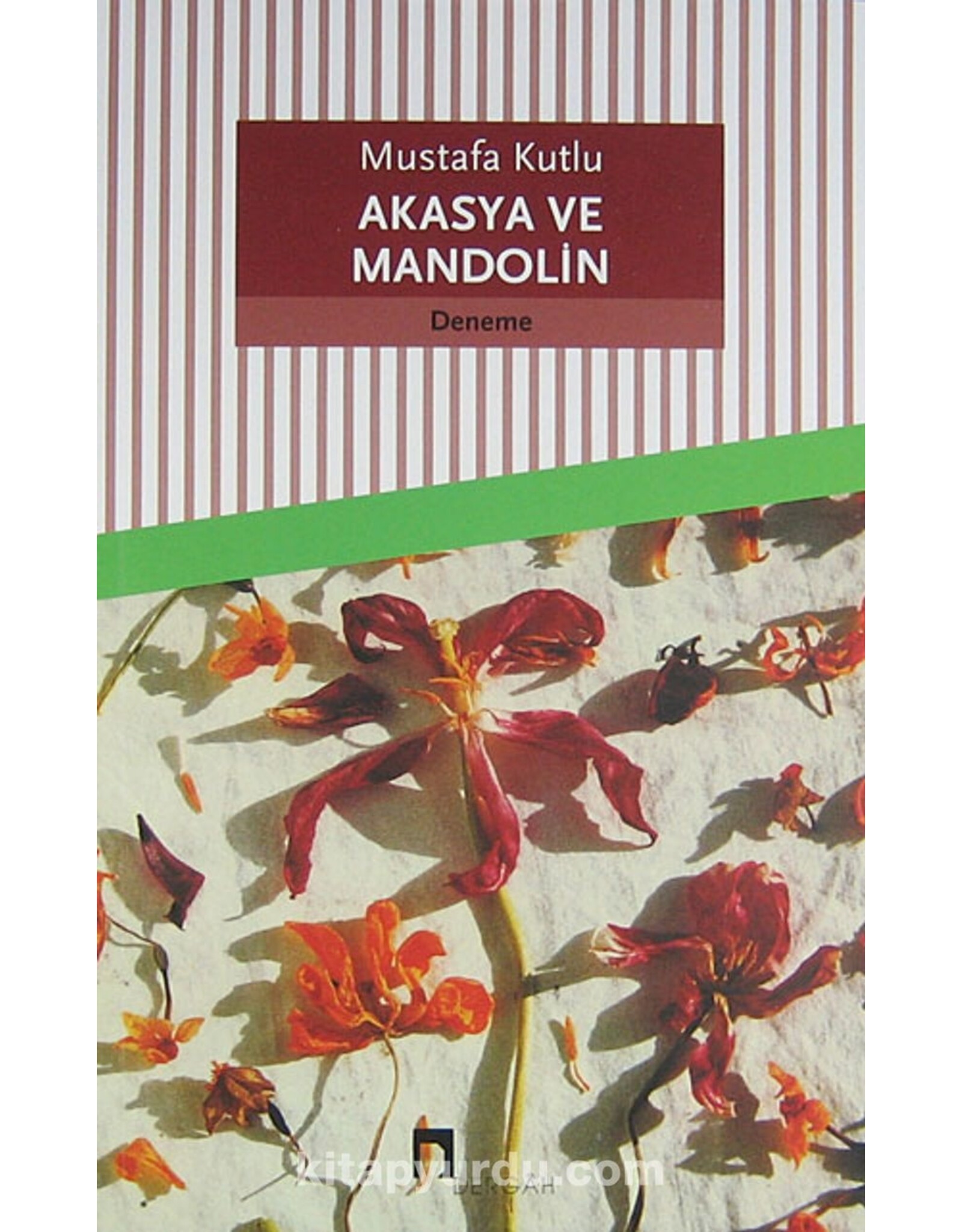Akasya ve Mandolin