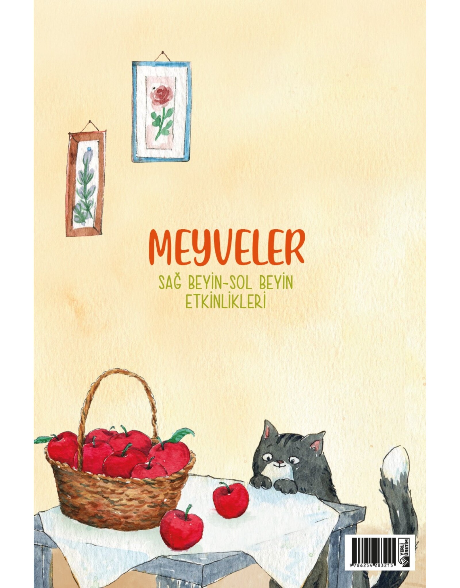 Meyveler Sag Beyin Sol Beyin Etkinlikleri