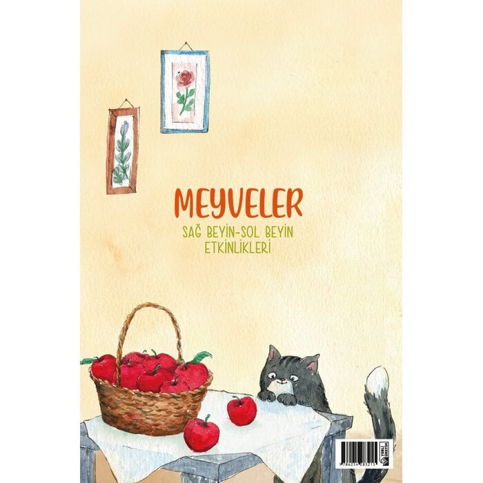 Meyveler Sag Beyin Sol Beyin Etkinlikleri