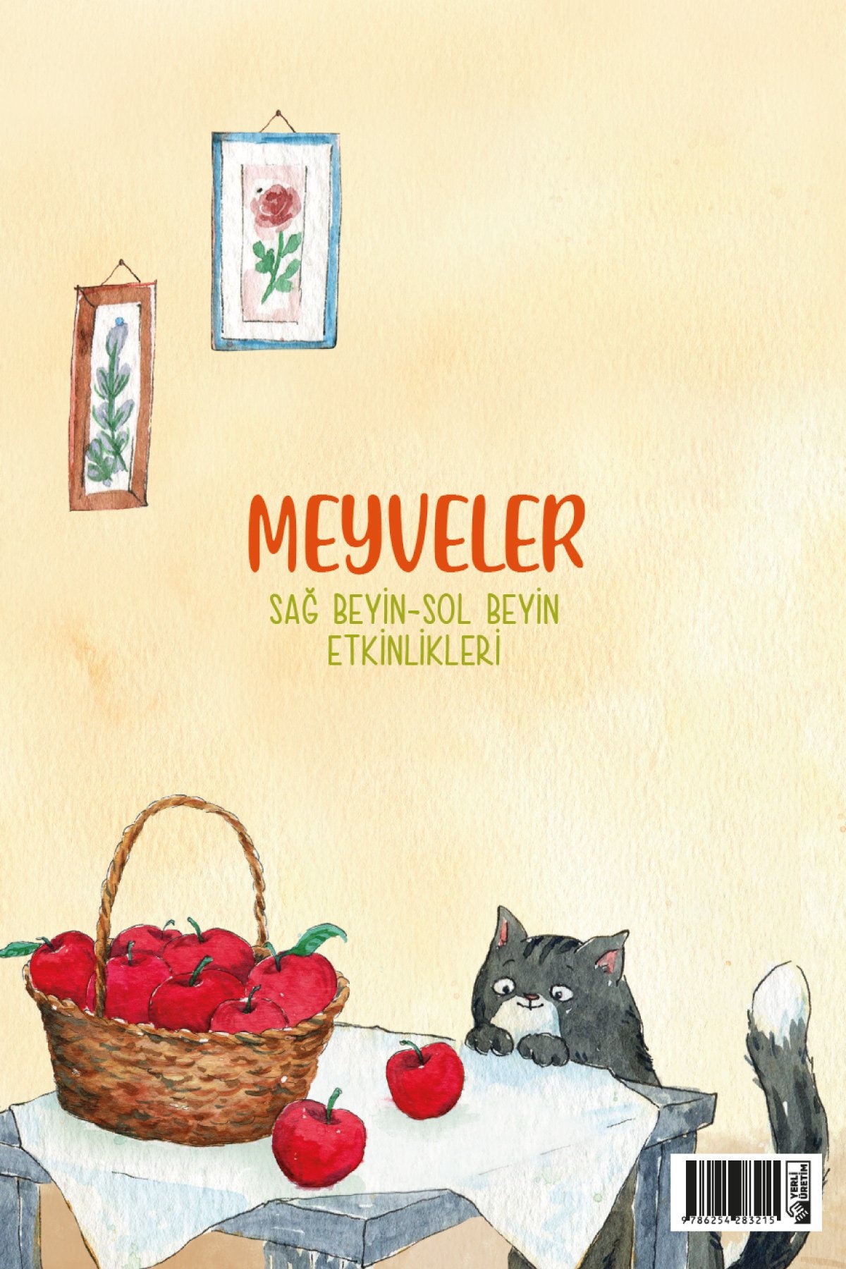 Meyveler Sag Beyin Sol Beyin Etkinlikleri