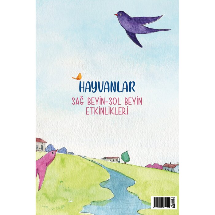 Türkiye Diyanet Vakfı Yayınları Hayvanlar Sag Beyin Sol Beyin Etkinlikleri