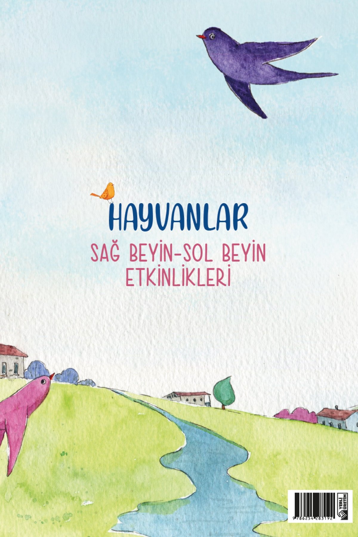 Türkiye Diyanet Vakfı Yayınları Hayvanlar Sag Beyin Sol Beyin Etkinlikleri