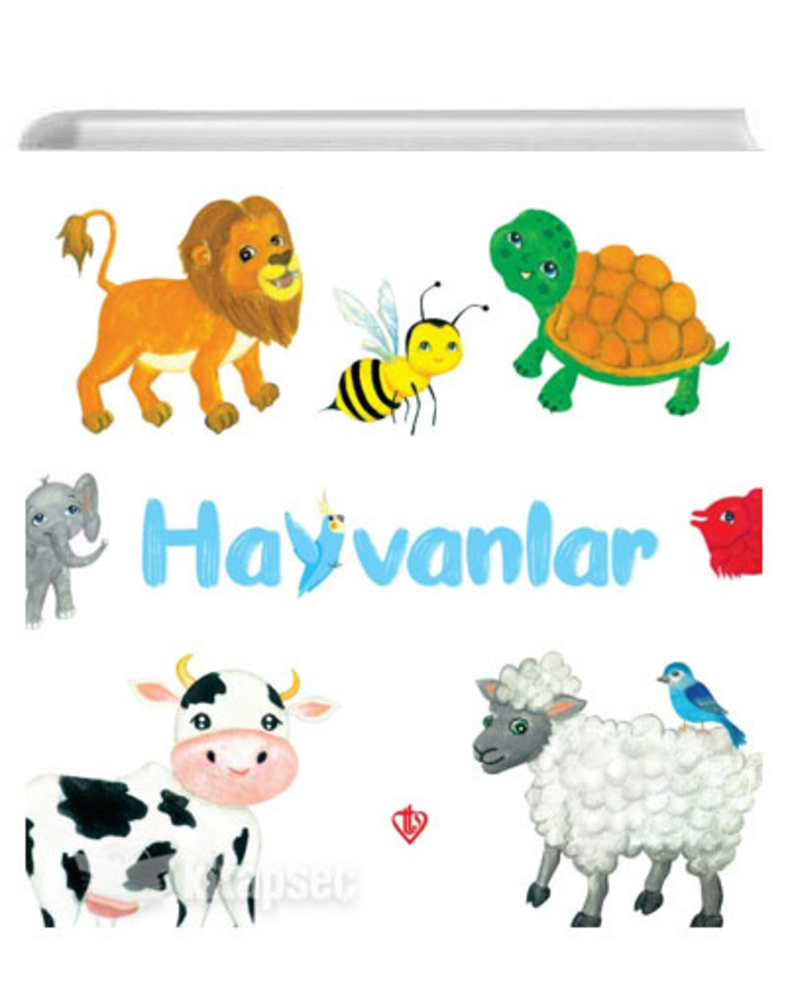 hayvanlar