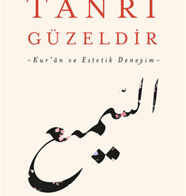 Tanrı Güzeldir - Navid Kermani