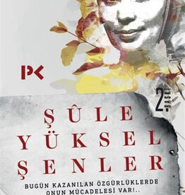 Bir Çığır Öyküsü / Şule Yüksel Şenler