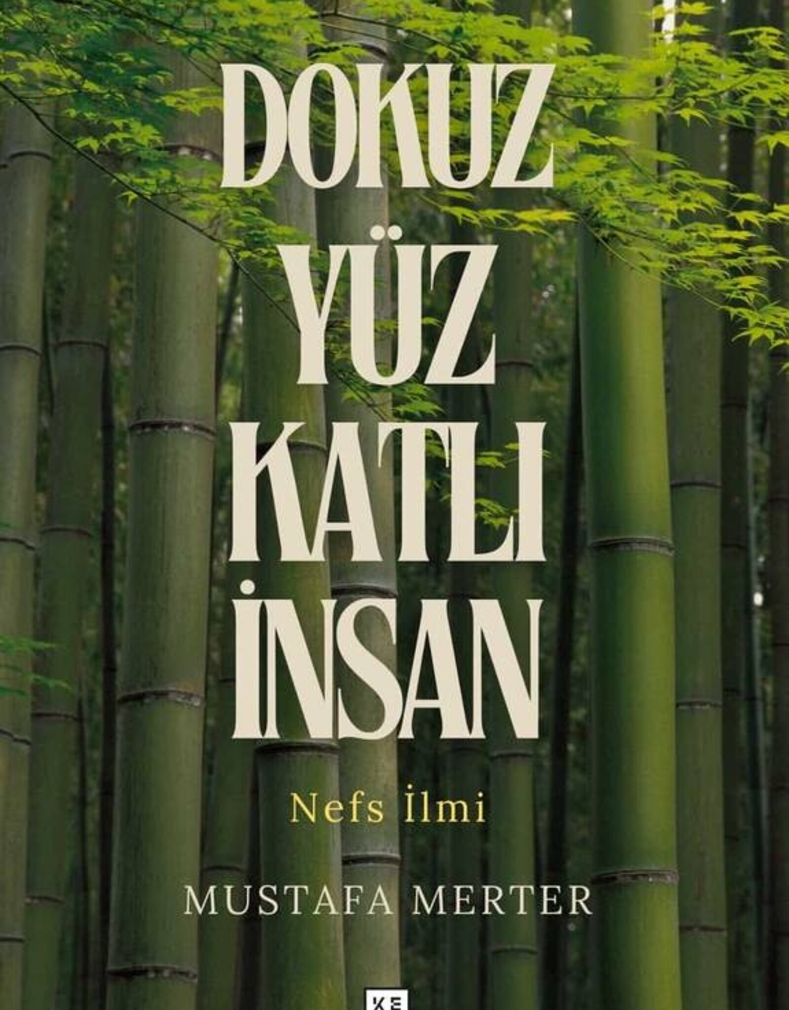 Dokuz Yüz Katlı İnsan