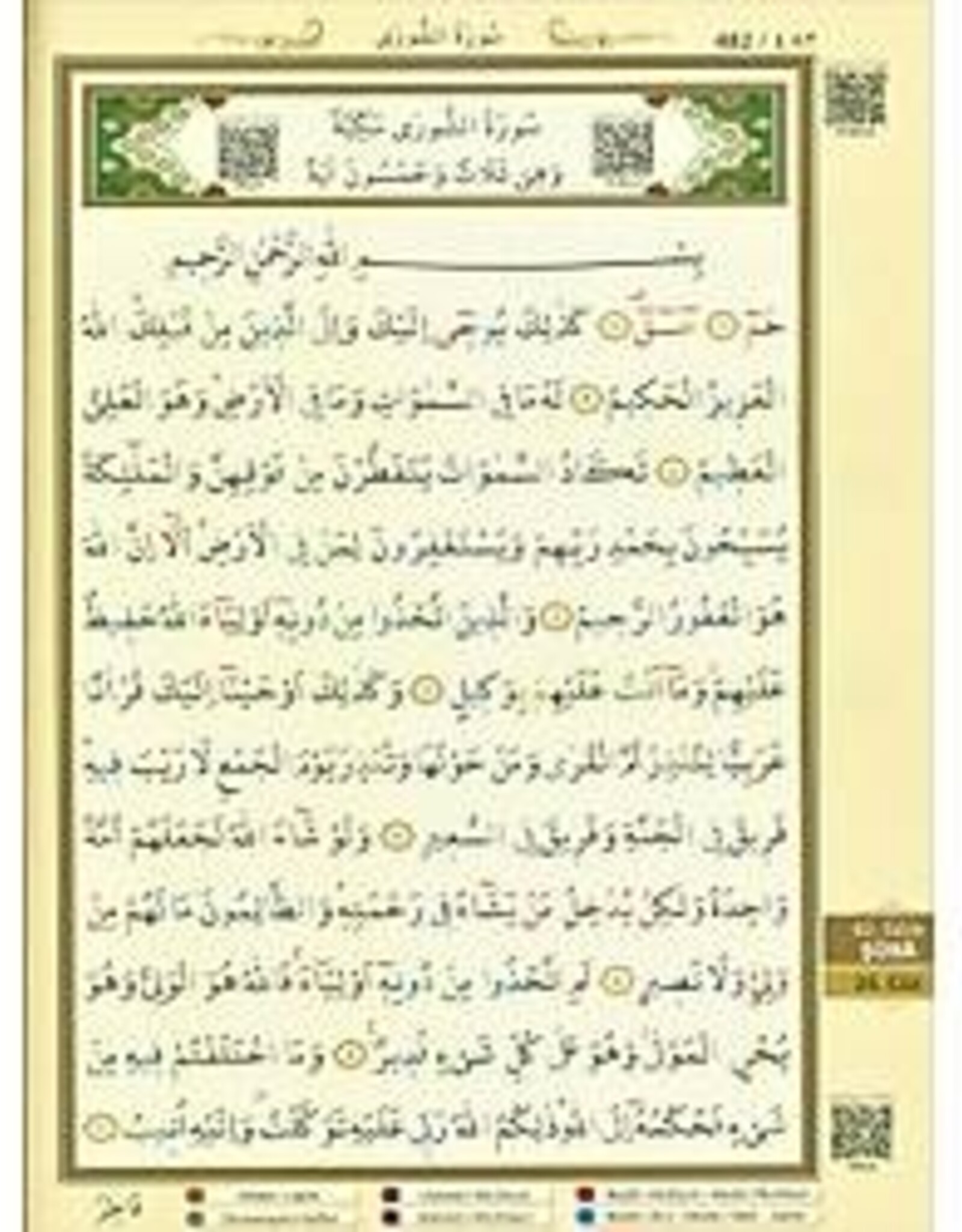 Ayfa Cami Boy Tecvidli Kuran-i Kerim (Yesil-Siyah-Kirmizi Renk)