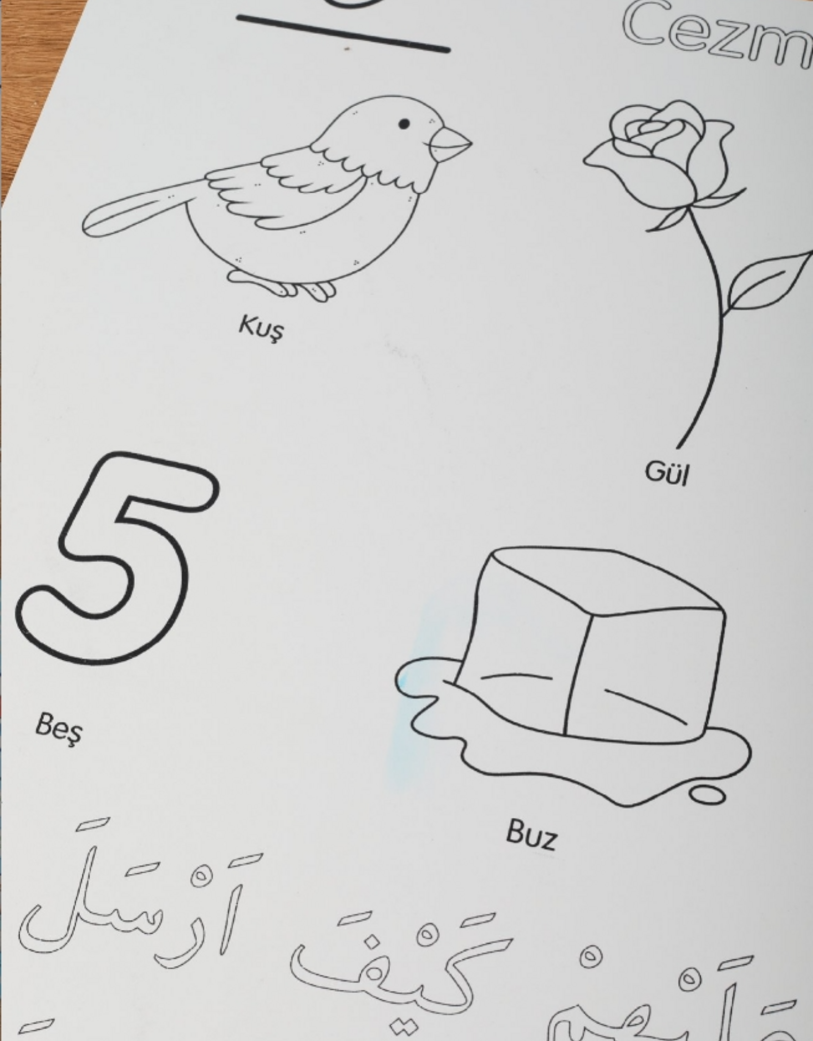 Yıkanabilir Elifba Harekeler 48*68