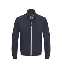 Milestone Jas Milestone