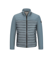 Milestone Jas Milestone