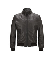 Milestone Leder Milestone