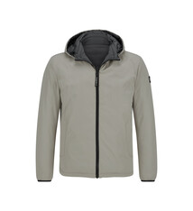 Milestone Jas Milestone