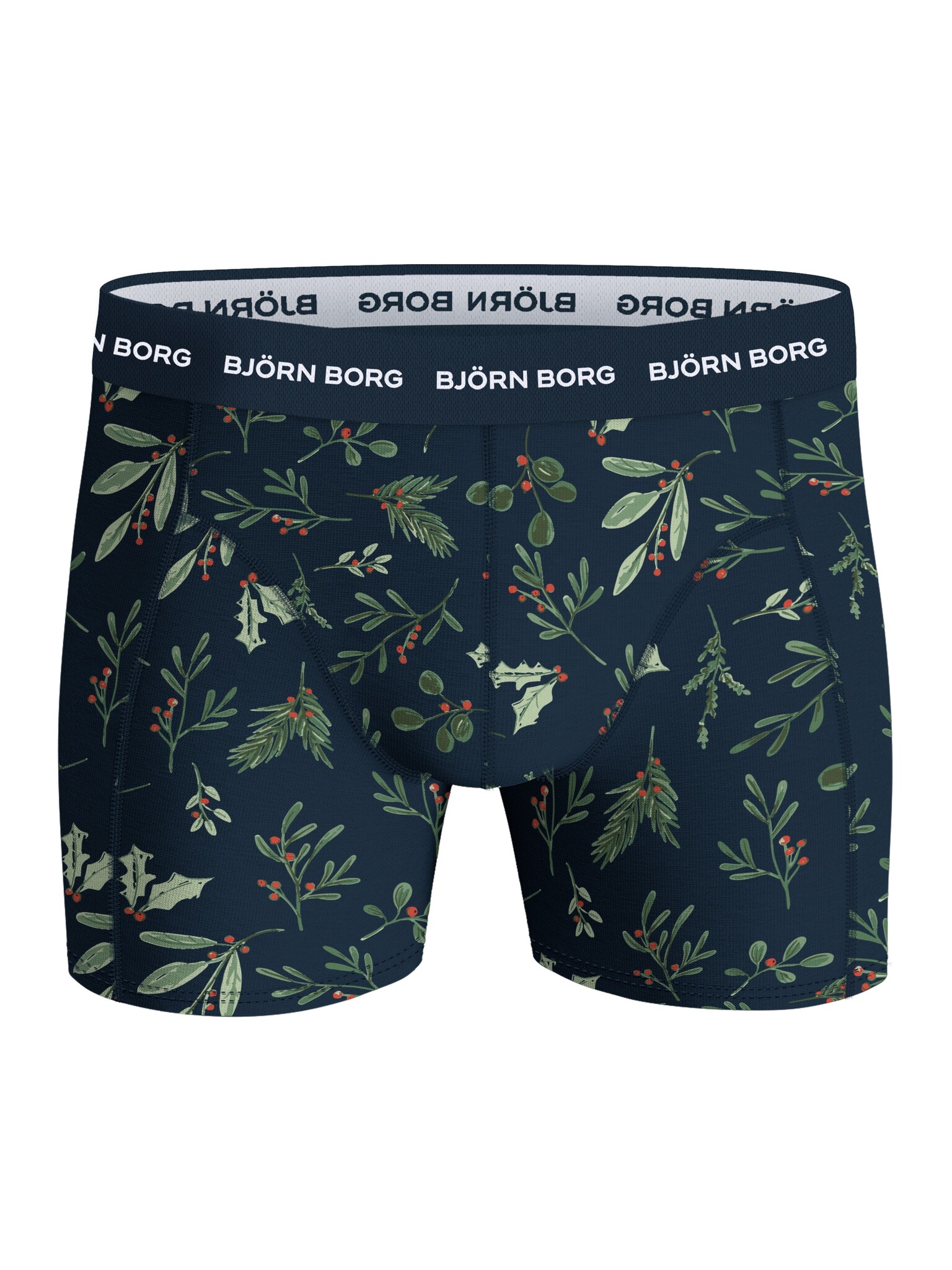 Bjorn Borg Ondergoed Bjorn Borg 10003693-MP002
