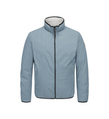 Milestone Jas Milestone