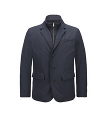 Milestone Jas Milestone