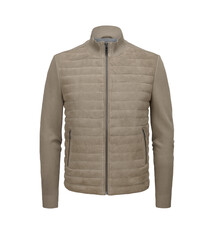 Milestone Jas Milestone