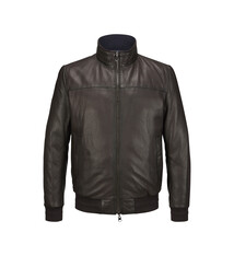 Milestone Leder Milestone