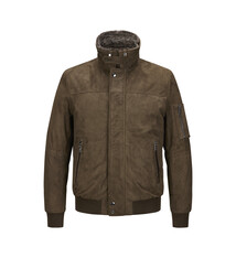 Milestone Leder Milestone