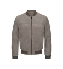 Milestone Jas Milestone