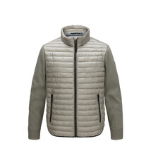 Milestone Jas Milestone