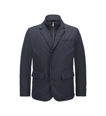 Milestone Jas Milestone