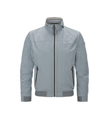 Milestone Jas Milestone