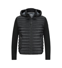 Milestone Jas Milestone