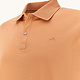 Paul & Shark Polo Paul & Shark 26411240-231
