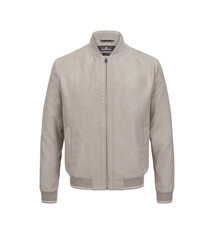 Milestone Jas Milestone