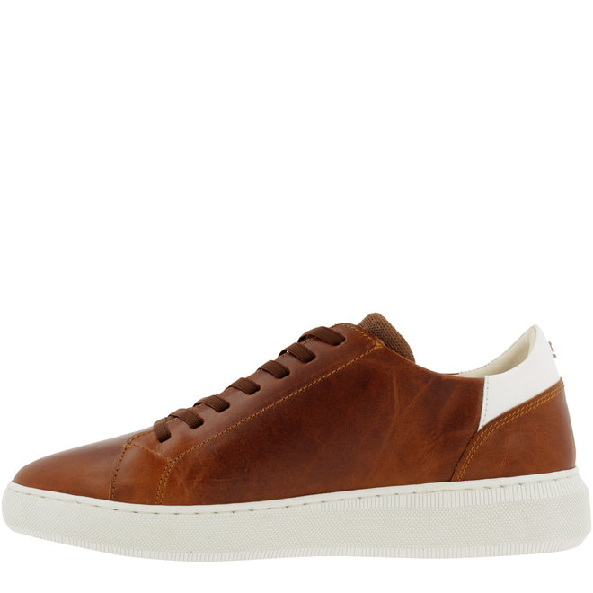 Sneaker Cognac 109K20559ACGWHSU