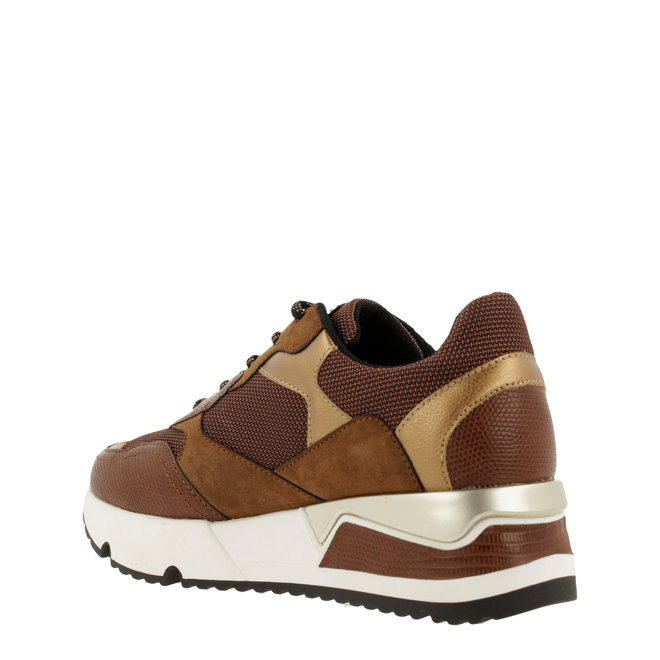 Sneaker Braun 323000F5TBBRGOTD