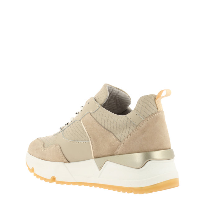 Sneakers Beige 323015E5C_SNGDTD