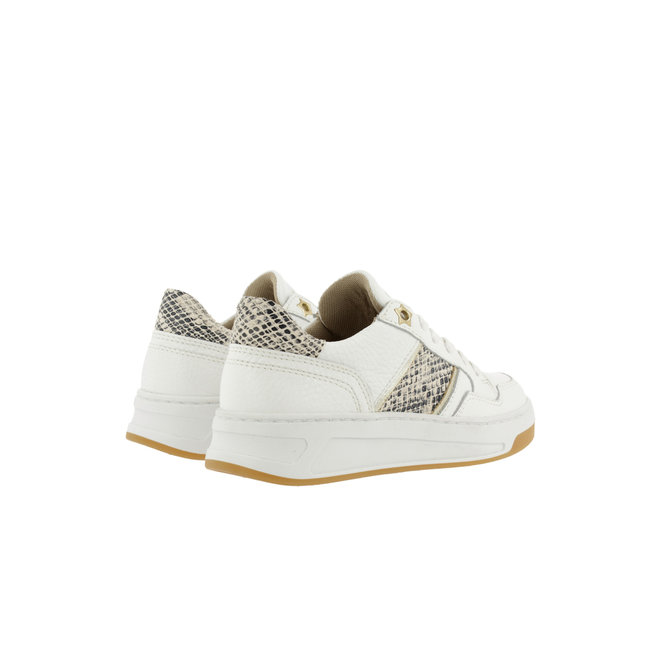 Sneaker White with Snakeprint ALQ000E5L_WHITKB