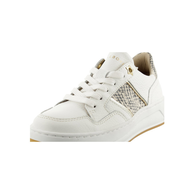 Sneaker White with Snakeprint ALQ000E5L_WHITKB