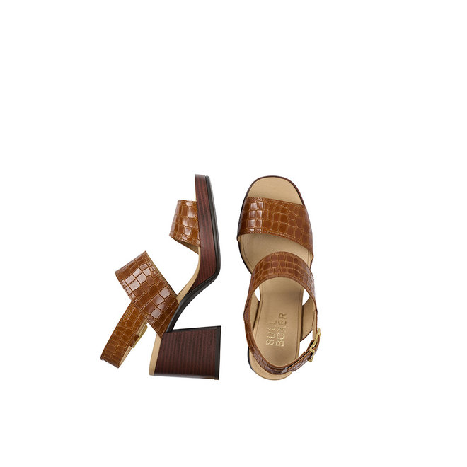 Sandal with heel Brown 256001E2L_TANNTD