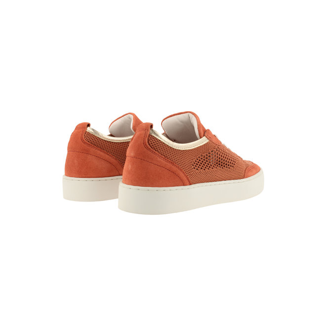 Sneaker Oranje 962074E5T_TANGTD