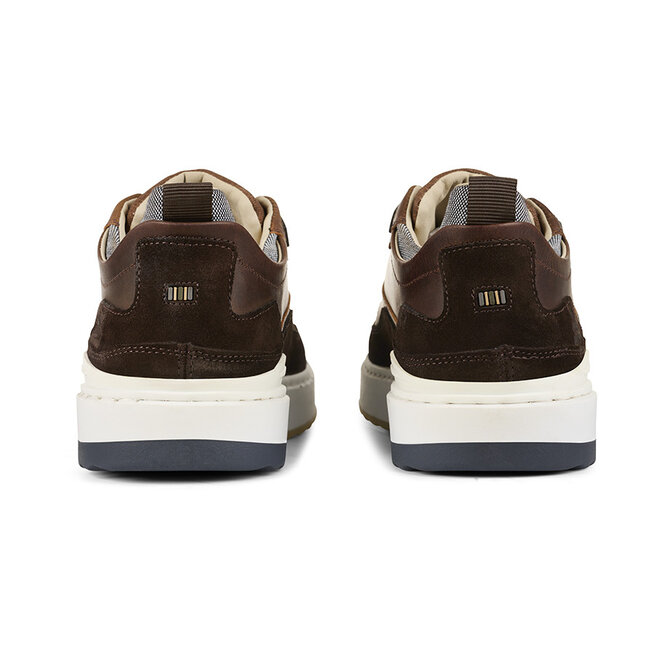 Sneaker low Dark Brown 843P21464ADBCCSU