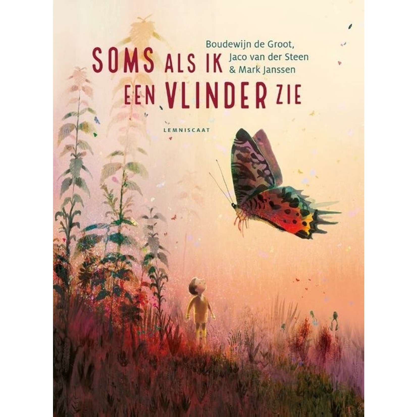 Boek - Soms als ik een vlinder zie