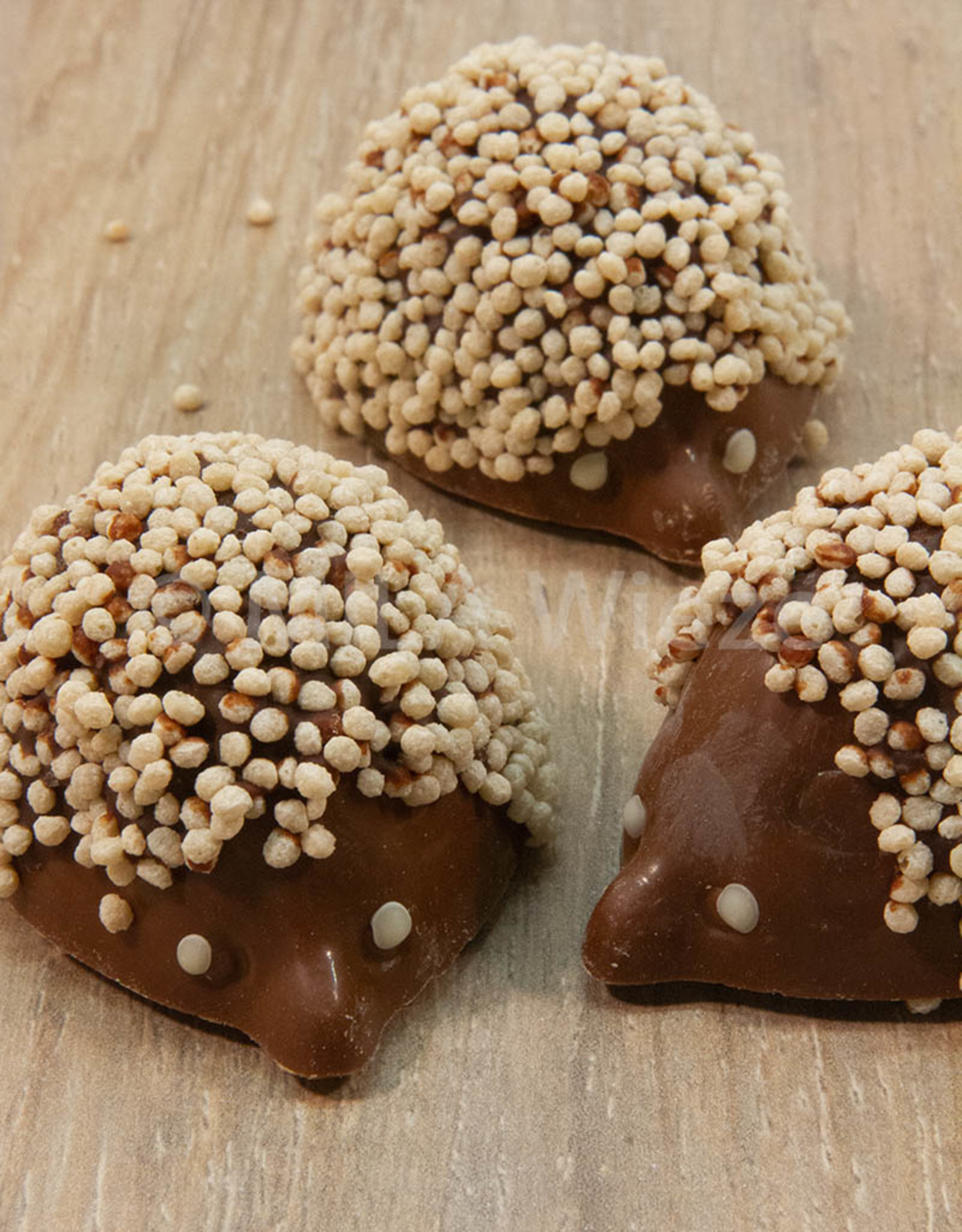 Hersfstbuche - Egel melk