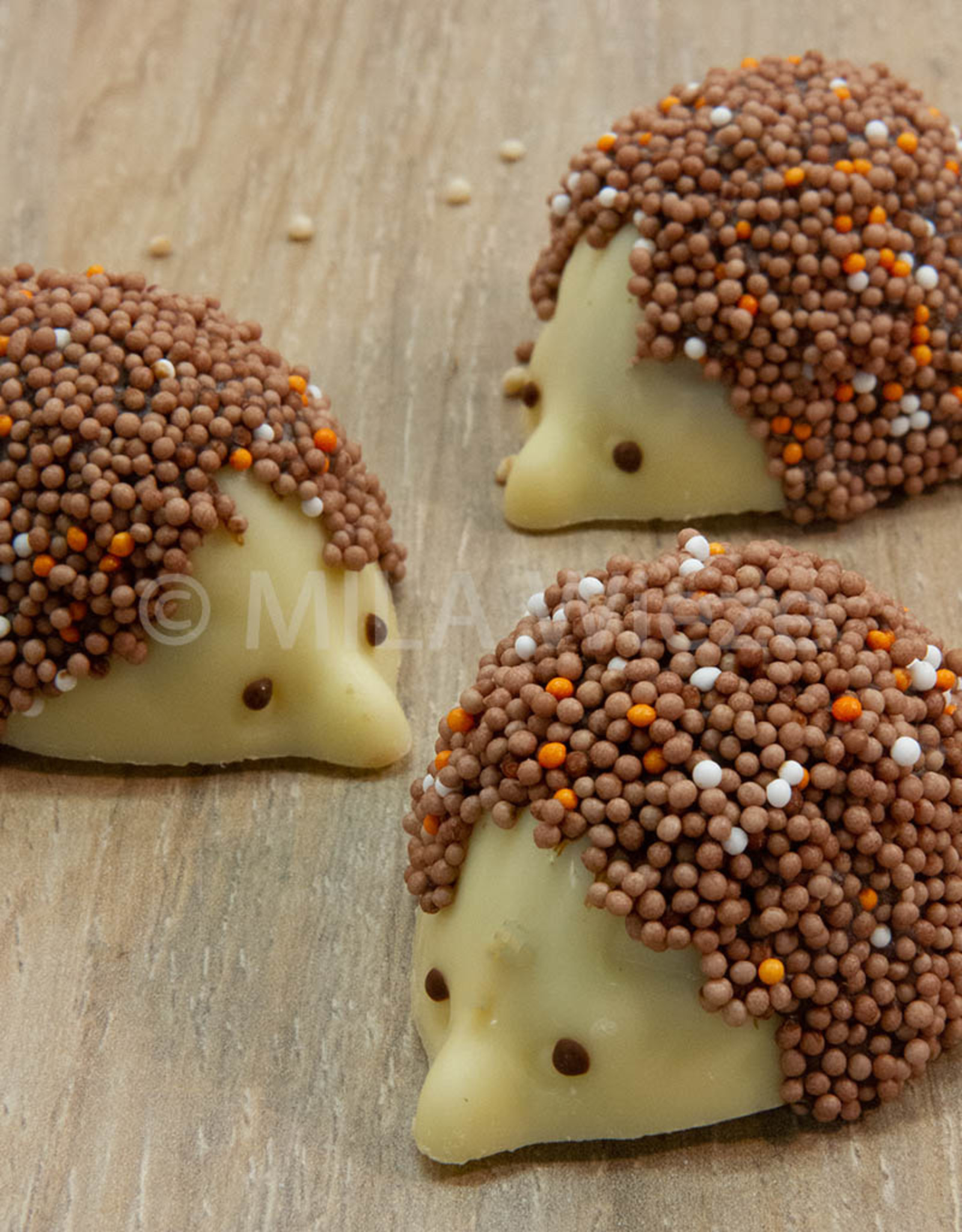 Hersfstbuche - Egel wit
