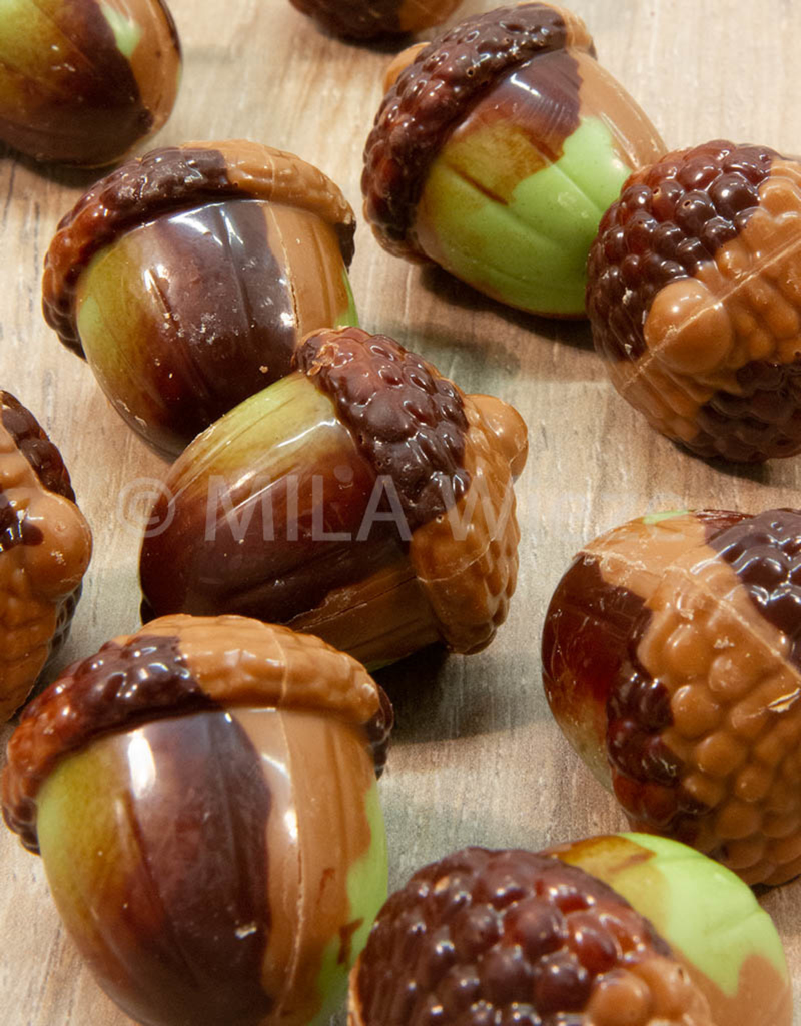 Herfstpraline - eikel melk/groen met praliné