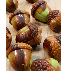 Herfstpraline - eikel melk/groen met praliné - 10 stuks